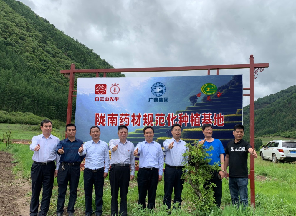 药材好，药才好 ——白云山幼柴胡颗粒北柴胡规范化种植基地正式揭牌！