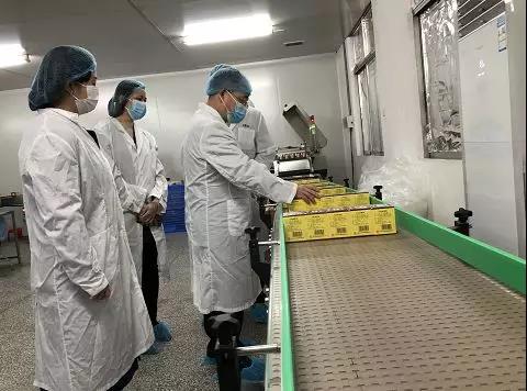 同心抗疫，确保质量！Z6尊龙凯时公司振隆厂表车间接受广药集团出产监督保险幼组工作督导