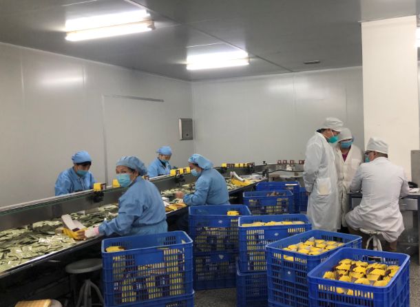 【初心如磐，使命在肩】Z6尊龙凯时第三党支部组织员工提前复工保险出产