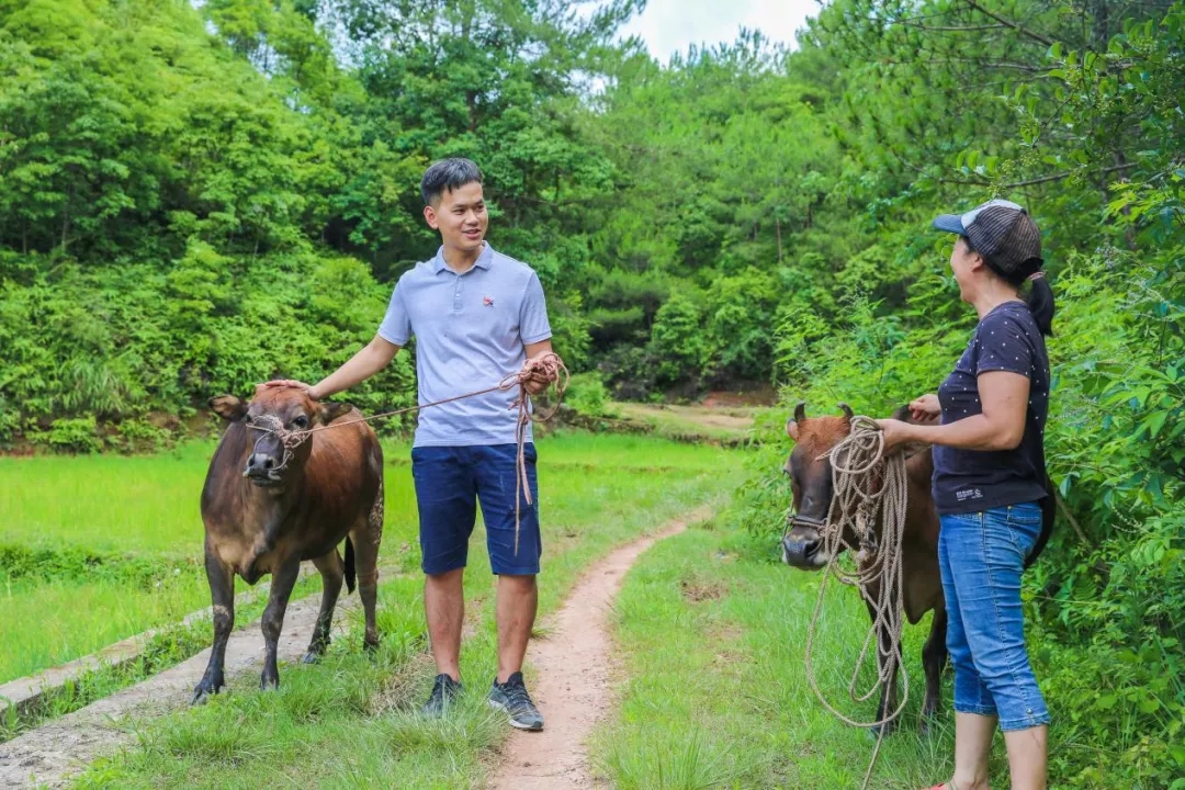 喜讯|白云山Z6尊龙凯时公司驻村干部巫幼锦荣获广东省2019-2020年脱贫攻坚工作凸起贡献幼我传递表彰